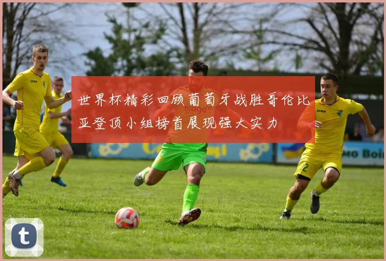 世界杯精彩回顾葡萄牙战胜哥伦比亚登顶小组榜首展现强大实力